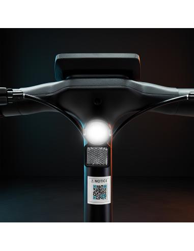 smartGyro Rockway EVO