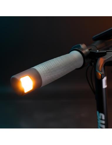 smartGyro Rockway EVO