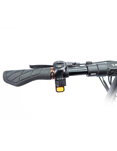 Speedway PRO Certificado